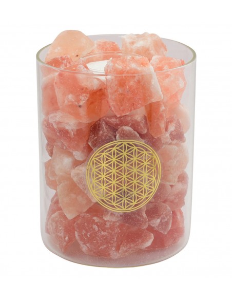 Salzkristall Lampe Salzkristall beleuchtet im Glas - Blume des Lebens - 19 cm hoch - Palm Light Dieses schöne Glas mit Salzkrist