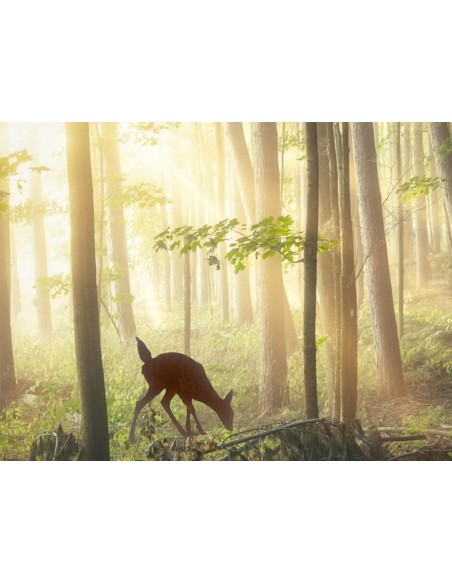 Weihnachtsdeko Essendes Rehkitz mit Rohr für 12 mm Ø Stab, Höhe 55 cm, Breite 55 cm - Größe 3 
Essendes Rehkitz mit Rohr für 12