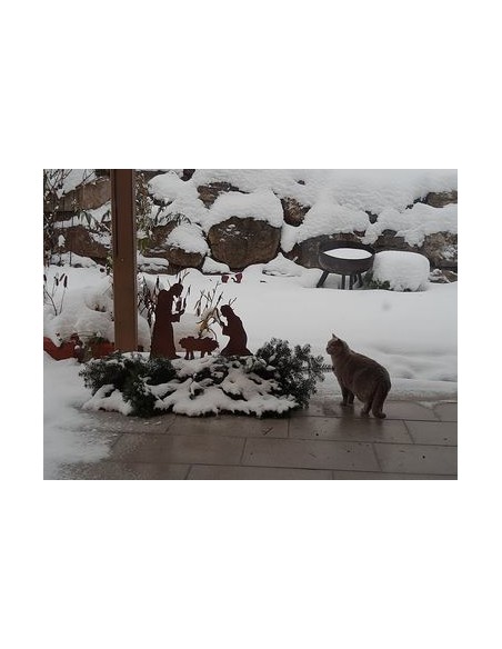 Weihnachtsdeko Aussen Krippenszene - Familie - zum Stellen, Figurenhöhe 50 cm 
Dekorative Edelrost-Krippe für stimmungsvolle Mo Weihnachtsdeko Aussen Krippenszene - Familie - zum Stellen, Figurenhöhe 50 cm 
Dekorative Edelrost-Krippe für stimmungsvolle Mo