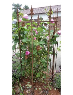 Staudenstütze halbrund mit Lilienspitze und Blätter - Höhe 90 cm 
Höhe 90 cm
Breite 80 cm
Tiefe 35 cm