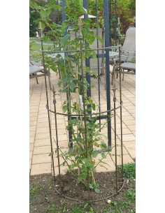 Start Rankhilfe halbrund - Höhe 120 cm 
Höhe 120 cm
Breite 50 cm