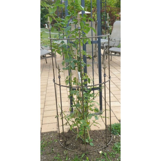 Start Rankhilfe halbrund - Höhe 120 cm 
Höhe 120 cm
Breite 50 cm
