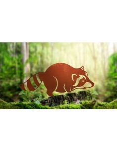 Edelrost Waschbär - Meeko - Breite 50 cm 2