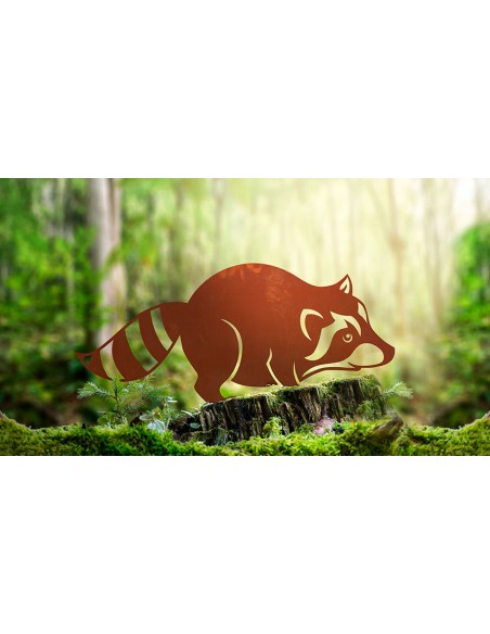 Edelrost Waschbär - Meeko - Breite 50 cm