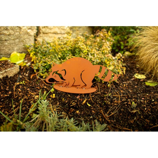 Edelrost Waschbär - Meeko - Breite 50 cm