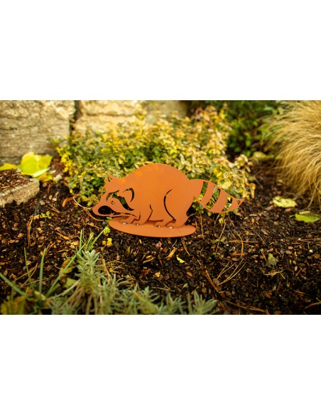 Edelrost Waschbär - Meeko - Breite 50 cm