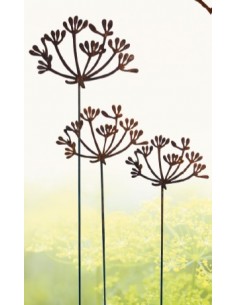 Kräuterstecker Gartenstecker Dill Blüte XL -  40 cm Ø - 1 Stk Große Dill Doldenblüte als moderner Gartenstecker Rost 
Die blü