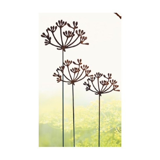 Kräuterstecker Gartenstecker Dill Blüte XL -  40 cm Ø - 1 Stk Große Dill Doldenblüte als moderner Gartenstecker Rost 

Die blü