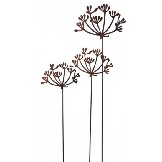 Kräuterstecker Gartenstecker Dill Blüte XL -  40 cm Ø - 1 Stk Große Dill Doldenblüte als moderner Gartenstecker Rost 

Die blü