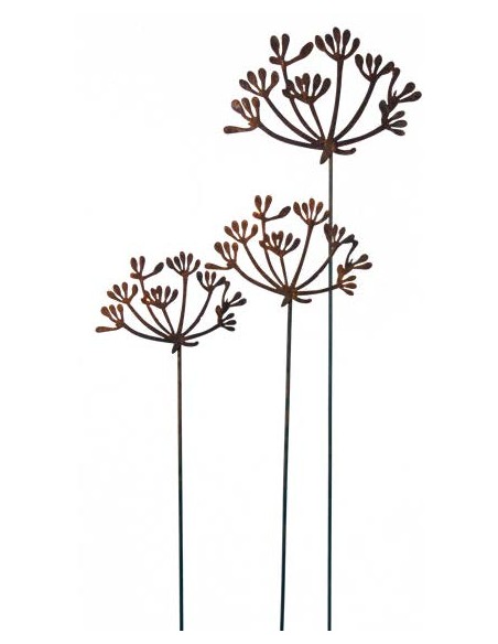 Kräuterstecker Gartenstecker Dill Blüte XL -  40 cm Ø - 1 Stk Große Dill Doldenblüte als moderner Gartenstecker Rost 

Die blü