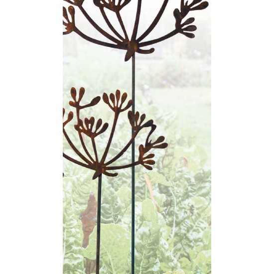Kräuterstecker Gartenstecker Dill Blüte XL -  40 cm Ø - 1 Stk Große Dill Doldenblüte als moderner Gartenstecker Rost 

Die blü