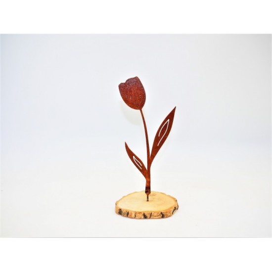Start Tulpe mit einer Blüte zum Schrauben - Höhe 20 cm 
Höhe 20 cm
Breite 9,8 cm
