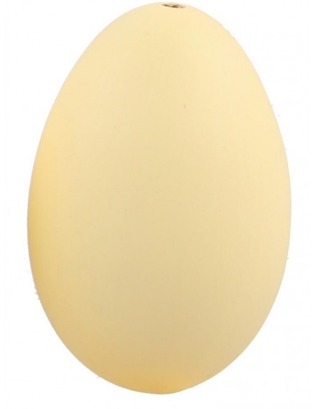 Frühlingsdeko Osterdeko echte Eier zum Hängen