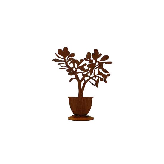 Start Crassula ovata im Topf, auf Platte, Höhe - 60cm Crassula ovata im Topf, auf Platte

Höhe 60 cm
