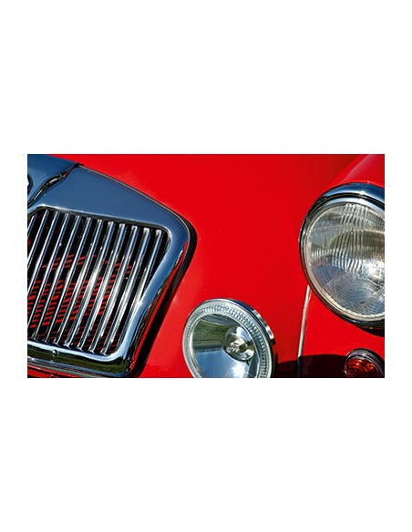 Rostschutz mit Owatrol Öl Polytrol Spray - Farbauffrischer - 250 ml Spraydose - Original Owatrol POLYTROL eignet sich besonders 