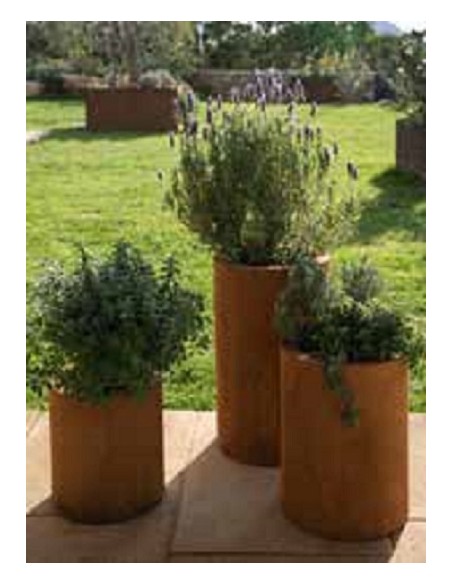 Pflanzgefäße + Schalen + Kronen Pflanztopf mit Rand - groß - Höhe 40 cm - Ø 27 cm Tolle Pflanzmöglichkeit für Deine Blumen im Ga Pflanzgefäße + Schalen + Kronen Pflanztopf mit Rand - groß - Höhe 40 cm - Ø 27 cm Tolle Pflanzmöglichkeit für Deine Blumen im Ga