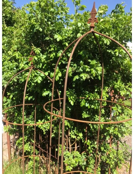 Runde Rankgerüste, Rosensäulen und Rank Obelisken Metall Rankgerüst XL - Volleisen - 190 cm - Ø 53 cm mit Lilienspitze Rankgerüs