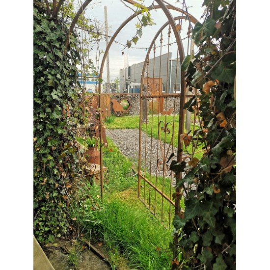 Rosenbogen Metall Rosenbogen mit Volltüre - einflügelig Breite 125 cm - Höhe 200 cm - edelrost 