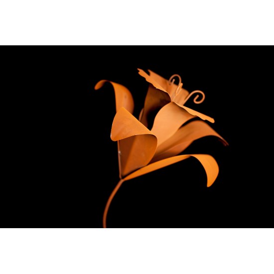 Start Edelrost Lilie auf Platte - Höhe 80 cm - Größe 1 Schöne Edelrost Lilie auf einer Platte.

Wetterfest & frostsicher
Höhe