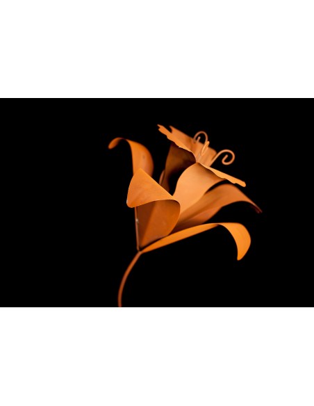 Start Edelrost Lilie auf Platte - Höhe 80 cm - Größe 1 Schöne Edelrost Lilie auf einer Platte.

Wetterfest & frostsicher
Höhe