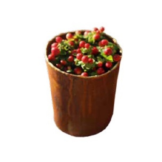 Pflanzgefäße + Schalen + Kronen Edelrost Topf mit Goldrand - Höhe 17 cm - Ø 12,5 cm - zum Stellen Edelrost Topf rund - mit Goldr