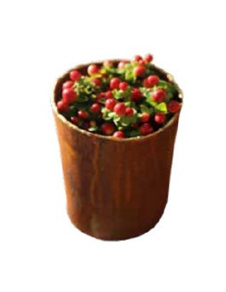 Pflanzgefäße + Schalen + Kronen Edelrost Topf mit Goldrand - Höhe 17 cm - Ø 12,5 cm - zum Stellen Edelrost Topf rund - mit Goldr