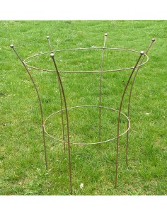 Start Staudenhalter m. Kugel, 2 Ringe - 95cm Staudenhalter m. Kugel, 2 Ringe
62 cm x 62 cm x 95 cm 2