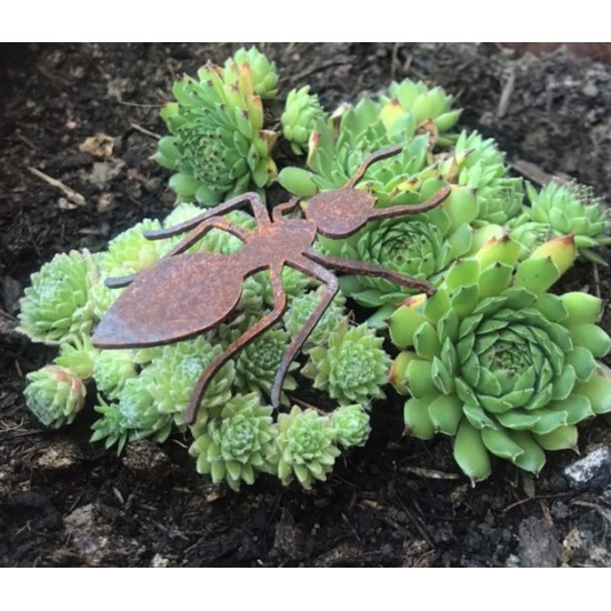 Käfer - Biene und Co als Gartendeko Figuren Gartendeko Ameise - 7 cm lang Mit diesen Rost-Ameisen kannst du jeder Dekoration ein