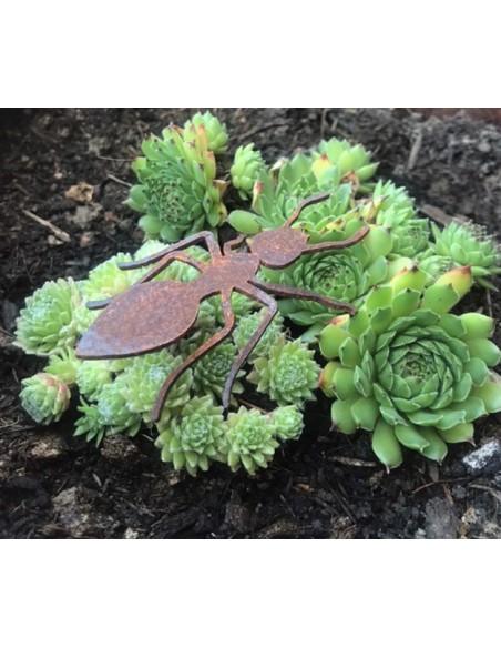 Käfer - Biene und Co als Gartendeko Figuren Gartendeko Ameise - 7 cm lang Mit diesen Rost-Ameisen kannst du jeder Dekoration ein
