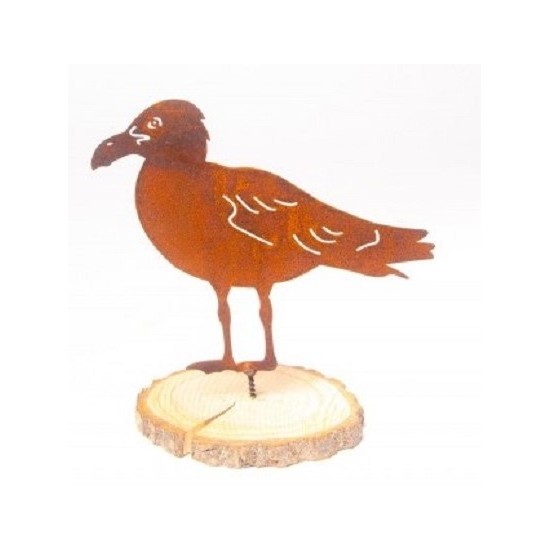 Vogel Deko Möwe mit Schraube - Breite 17,5 cm Die Möwe zum Schrauben, maritime Deko für Dein Zuhause.
Höhe 14,5 cm + 2 cm Sch