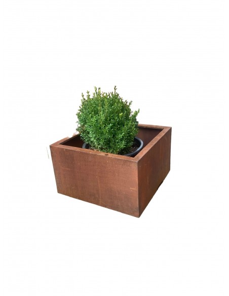 Blumentöpfe - Pflanztöpfe in Edelrost Mobiler Pflanztopf auf Rollen - eckig - Höhe 30 cm - Länge 48 cm - klein Dieser Mobile Pfl