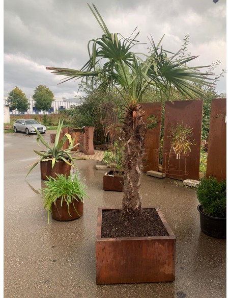 Blumentöpfe - Pflanztöpfe in Edelrost Mobiler Pflanztopf auf Rollen - eckig - Höhe 30 cm - Länge 48 cm - klein Dieser Mobile Pfl