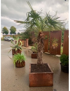 Blumentöpfe - Pflanztöpfe in Edelrost Mobiler Pflanztopf auf Rollen - eckig - Höhe 42 cm - Länge 72 cm - groß Dieser Mobile Pfla 2