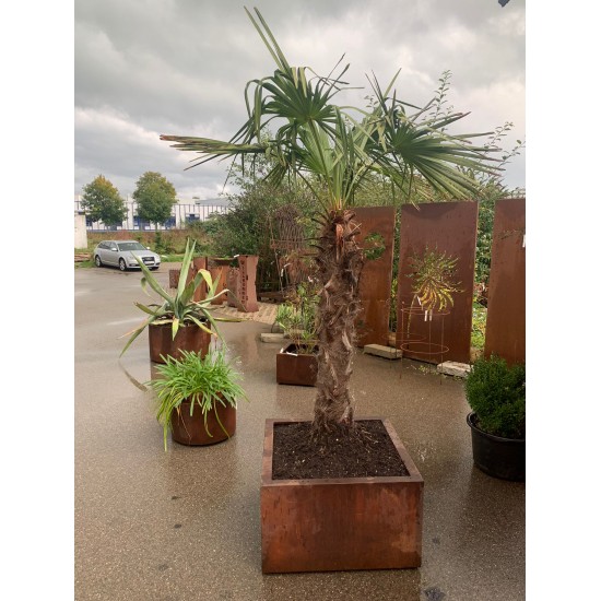 Blumentöpfe - Pflanztöpfe in Edelrost Mobiler Pflanztopf auf Rollen - rund - Höhe 42 cm - Ø 72 cm - groß Der Stabilen Pflanztopf