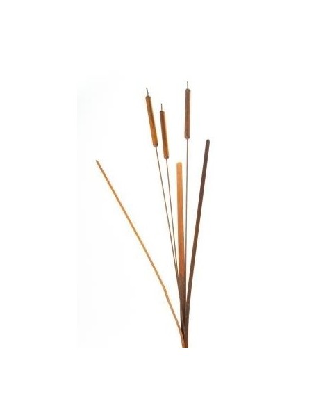 Blumen und Bäume Schilf Gartenstecker  - Höhe 145 cm mit 3 Schilfkolben 
Das Edelrost Dekoschilf ist ein wunderschönes Deko-Acc