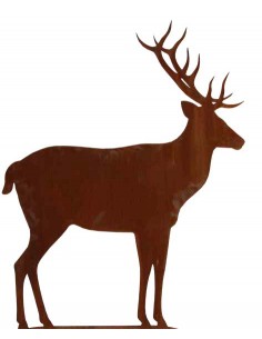 rostige Deko Hirsche und Rehe Deko Hirsch XXL seitlich stehend - Höhe 180 cm - lebensgroße Gartenfigur 
Höhe 180 cm
Länge 135