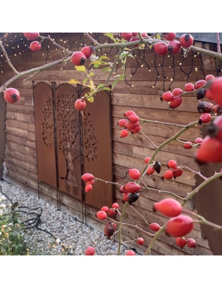Sichtschutz Garten Günstig Sichtschutz Garten zum Stecken Baum 3er Set