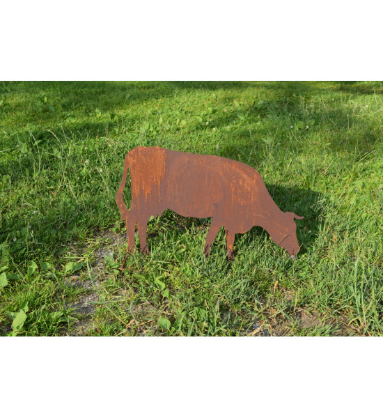 Bauernhoftiere Bauernhof Tier Kuh grasend - Höhe 37 cm 
Die Kuh aus Edelrost steht seitlich und grast, befestigt an einer Quers