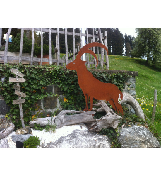 Allgäu Deko XL Dekofigur Steinbock aus Metall mit Edelrost - Höhe 120 cm Edelrost Steinbock zum Stellen

Höhe: 120 cm
Breite: