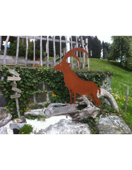 Allgäu Deko XL Dekofigur Steinbock aus Metall mit Edelrost - Höhe 120 cm Edelrost Steinbock zum Stellen

Höhe: 120 cm
Breite: