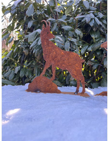 Steinbock + Murmeltier Deko  Gemse 30 cm rostige Gams 
Höhe: 30cm
Breite: 30cm
auf einer Standplatte
