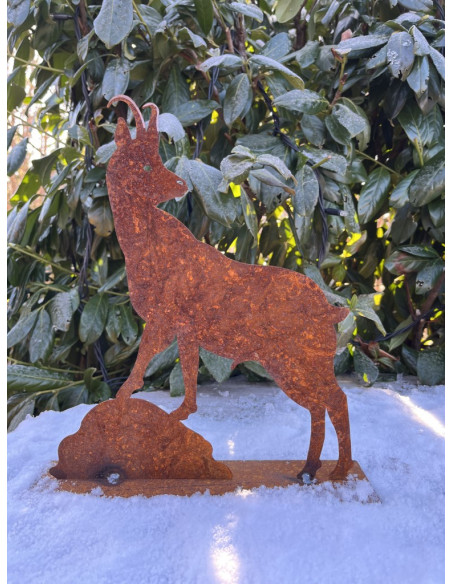 Steinbock + Murmeltier Deko  Gemse 30 cm rostige Gams 
Höhe: 30cm
Breite: 30cm
auf einer Standplatte
