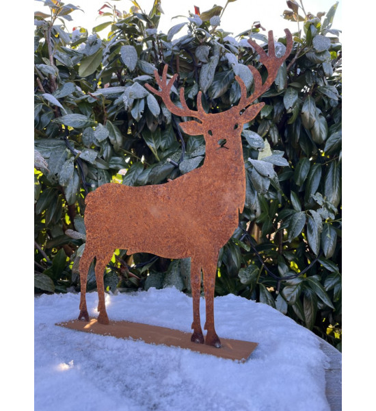 ausgefallene Tischdekoration  Edelrost-Hirsch - Hiruz - auf Platte , Höhe 25  cm Höhe 25 cm
Breite 24 cm
netter Hirsch als Tis