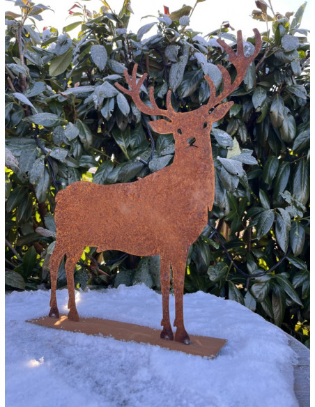 ausgefallene Tischdekoration  Edelrost-Hirsch - Hiruz - auf Platte , Höhe 25  cm Höhe 25 cm
Breite 24 cm
netter Hirsch als Tis