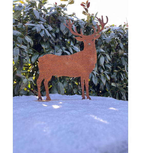 ausgefallene Tischdekoration  Edelrost-Hirsch - Hiruz - auf Platte , Höhe 25  cm Höhe 25 cm
Breite 24 cm
netter Hirsch als Tis