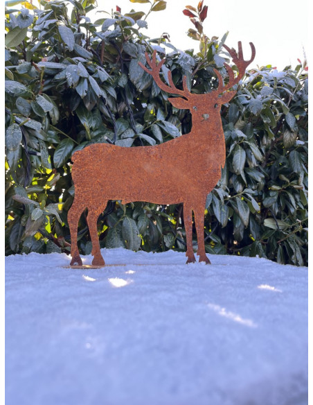 ausgefallene Tischdekoration  Edelrost-Hirsch - Hiruz - auf Platte , Höhe 25  cm Höhe 25 cm
Breite 24 cm
netter Hirsch als Tis