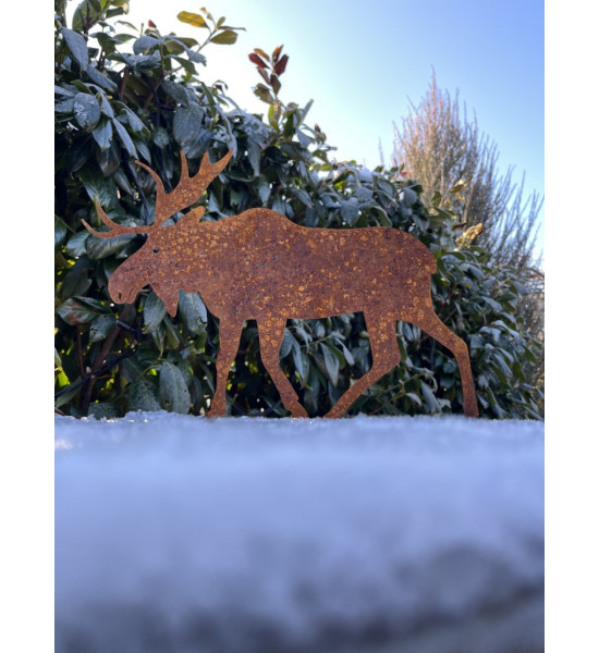 Elche + Nordische Deko kleiner Edelrost Elch 22 cm breit 17 cm hoch 
nordischer Elch als tolle Winter und Weihnachtsdeko
H&oum