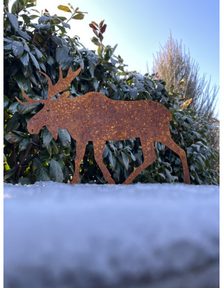 Elche + Nordische Deko kleiner Edelrost Elch 22 cm breit 17 cm hoch 
nordischer Elch als tolle Winter und Weihnachtsdeko
H&oum