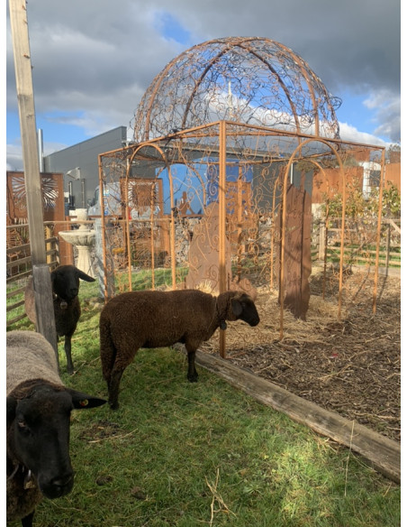 Pavillon und Kiosk Rank-Pavillon Metall Oase mit Kuppel 2,5 x 2,5 x 3,5 m Wie in einer OASE im Grünen ist dieser Rankpavillon au