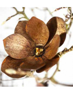 Bastelideen mit Metall und Rost Magnolie aus Stahl zum Einarbeiten - mit goldener Mitte 
Magnolie zum Einarbeiten mit goldener